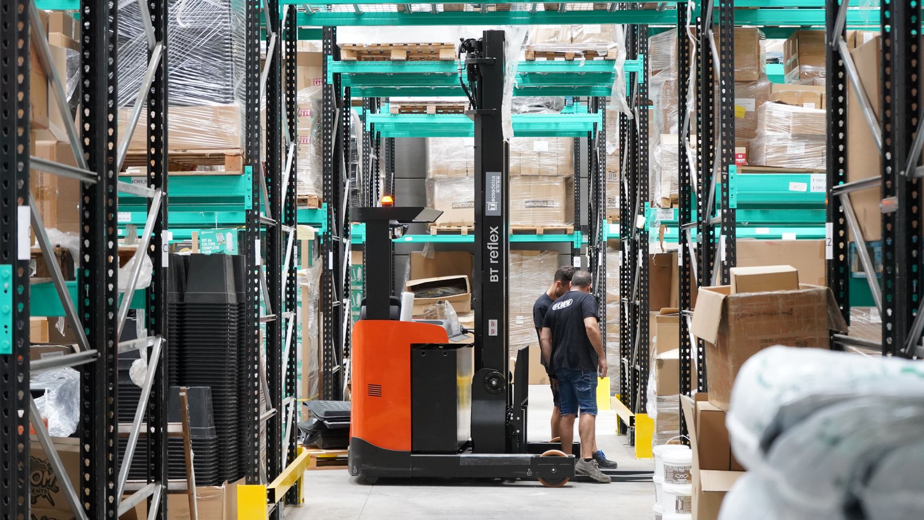 Warehouse team managing palletised goods